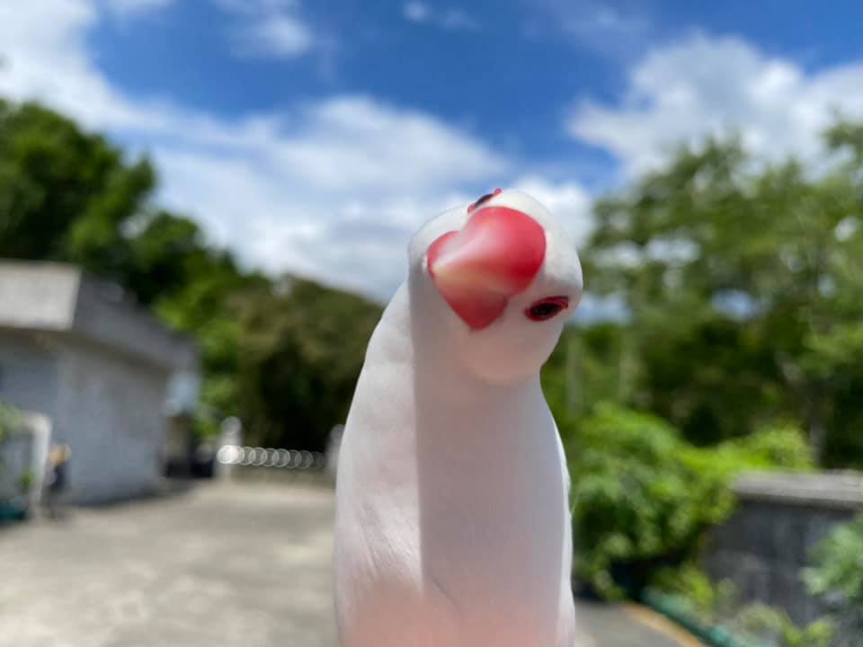 謝幸曄 教師照片